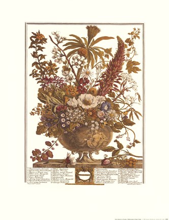 Framed December/Twelve Months of Flowers, 1730 Print