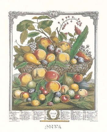 Framed July/Twelve Months of Fruits, 1732 Print