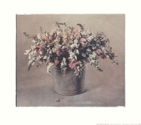 Framed Snapdragons Print