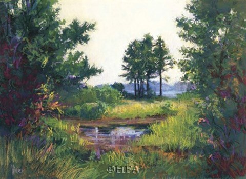 Framed Salt Marsh Print