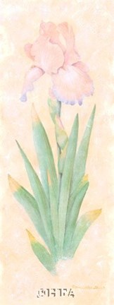 Framed Iris Soliloquy I Print