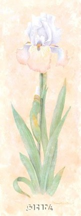 Framed Iris Soliloquy II Print