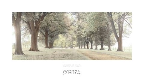 Framed Avenue of Trees Print