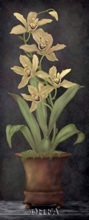 Framed Golden Moment Print