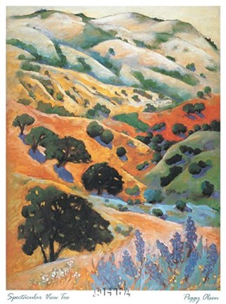 Framed Spectacular View Too Print