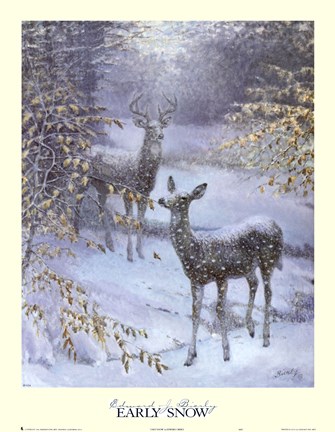 Framed Early Snow Print