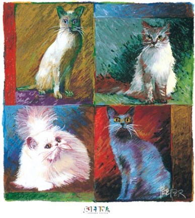 Framed Cats, Montage Print