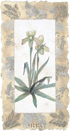 Framed Elegant Orchid Print