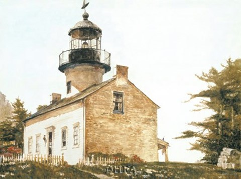 Framed Island Gate Print