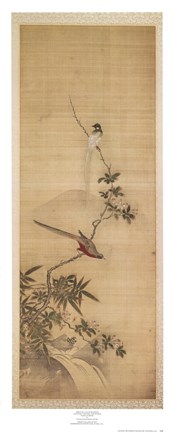 Framed Birds on a Plum Blossom Print