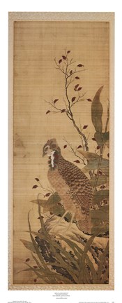 Framed Bird on Embankment Print