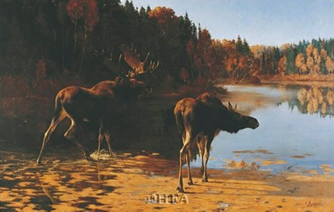 Framed Monarchs of the Wilderness Print