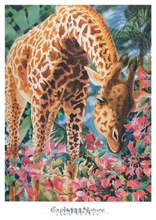 Framed Exploring Nature Print