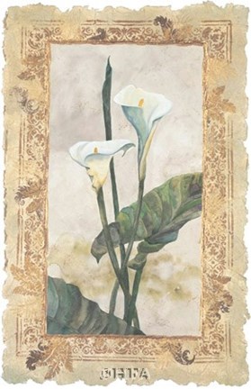 Framed Calla Lily Print