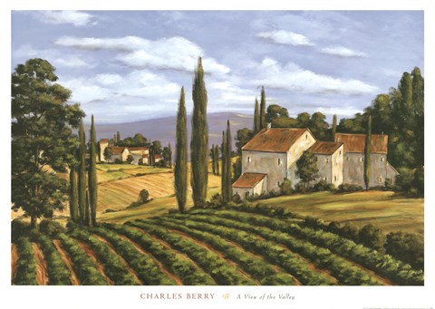 Framed View of the Valley Print