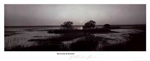 Framed South Carolina Shore Print