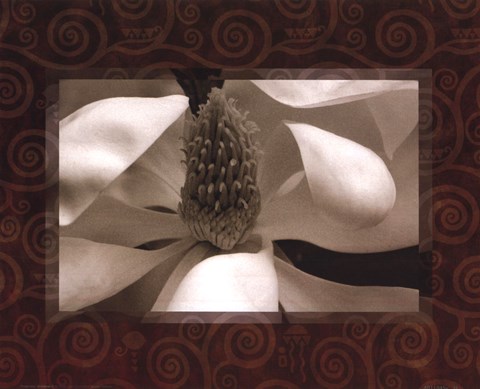 Framed Magnolia Window II Print