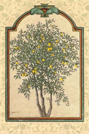 Framed Classical Lemon Print