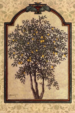 Framed Classical Lemon Print