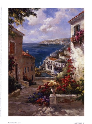 Framed Buena Vista II Print