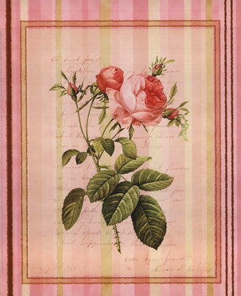 Framed Botanical Rose I Print