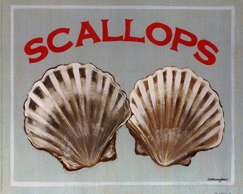 Framed Scallops Print
