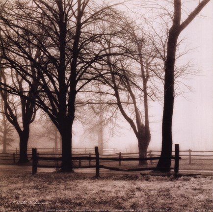 Framed Woods with Fence Print