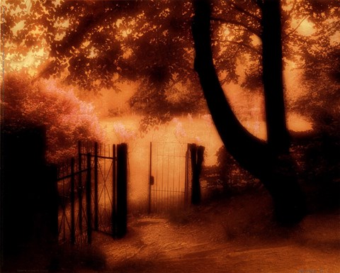 Framed Come In Print