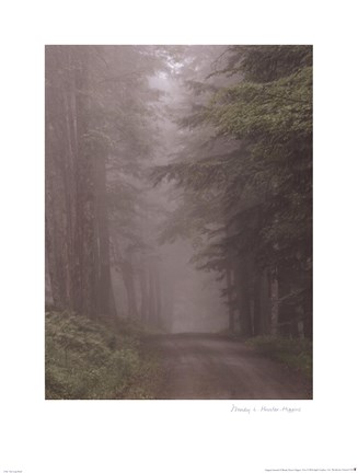 Framed Loop Road Print