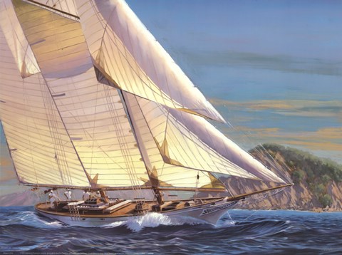 Framed Adventures in Paradise I Print