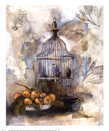 Framed Song Bird II Print