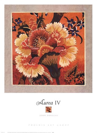 Framed Aurea IV Print