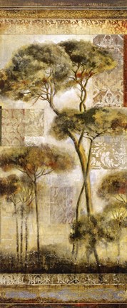 Framed Italian Arbor I Print