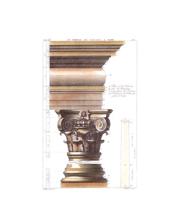 Framed Temple De Bacchus A Rome Print