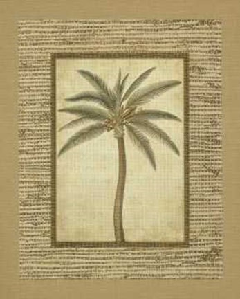 Framed Date Palm Print