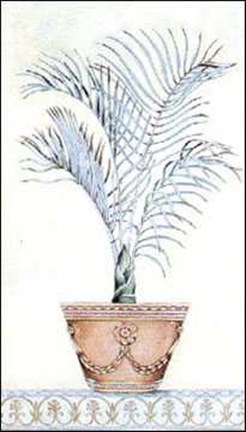 Framed Palm Topiary I Print