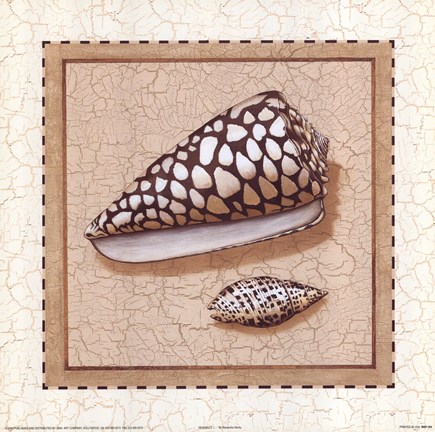 Framed Seashells I Print