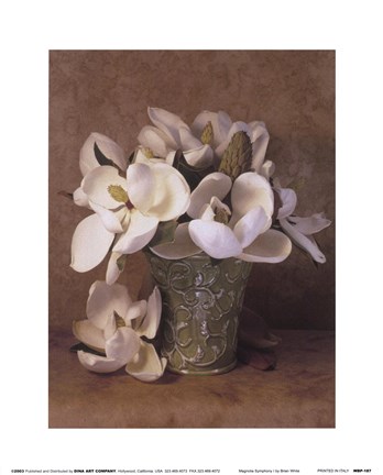 Framed Magnolia Symphony I Print