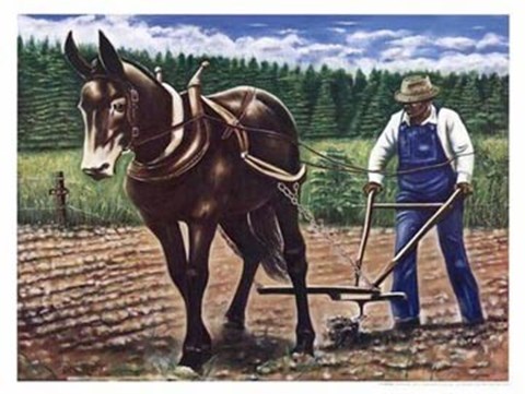 Framed Reparations Print