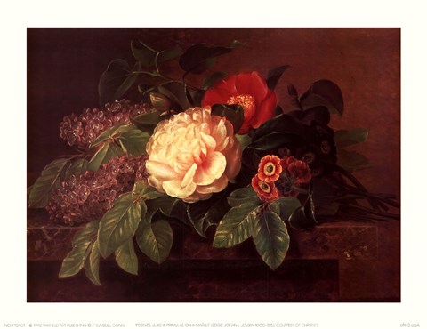 Framed Peonies, Lilacs &amp; Primulae Print