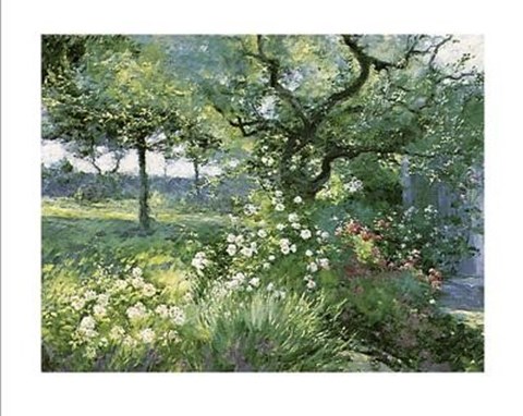 Framed White Rambling Roses Print