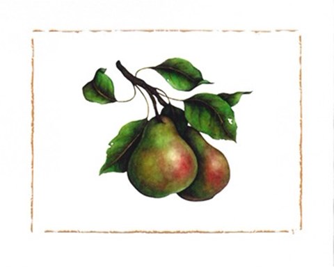 Framed Comice Pear Print