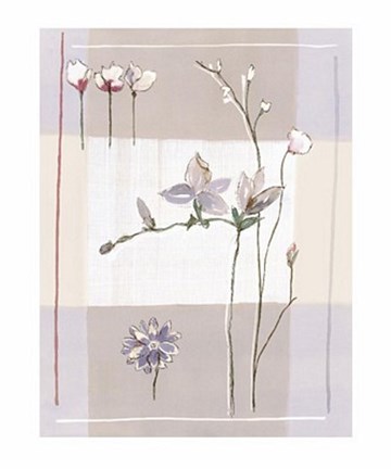 Framed Impression Florale II Print