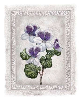 Framed Flowers of Spring II Print