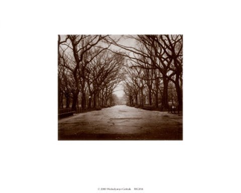 Framed Central Park Print