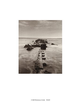 Framed New York by the Water II Print