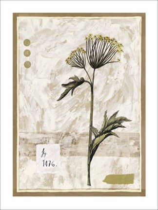 Framed Figure 1476 Print