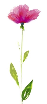 Framed Shades of Red Print