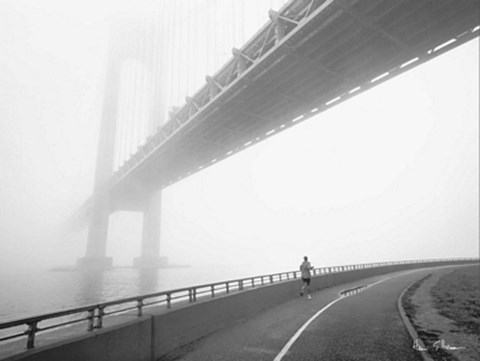 Framed Verrazano Bridge Print