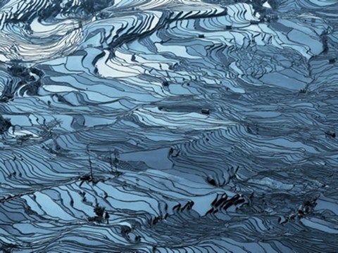 Framed Bluewater Print